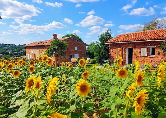 Les Hauts de Sames